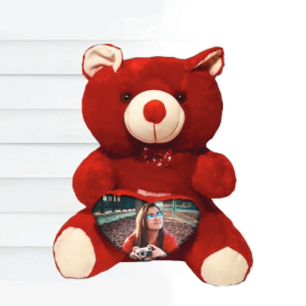 Teddy Pillow - 14 in, Red