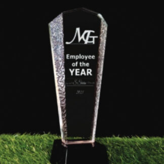 Trophy - Crystal & Glass - 10 in
