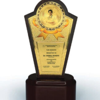 MDF Trophy & Mementos - 8.5 in