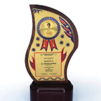 MDF Trophy & Mementos - 8.5 in